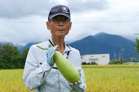 こだわりは手びきと天日干し。熟練の技が支える「内鎌かんぴょう ...