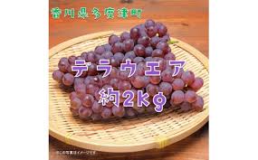 多度津町白方特産 デラウェアぶどう 約2kg【令和7年7月上旬より ...
