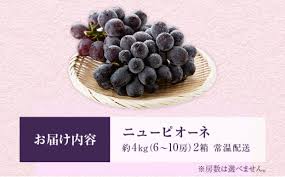 №5615-0080]ニュー ピオーネ 約4kg ぶどう 葡萄 フルーツ 岡山 ...