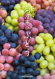 土成町・御所のぶどう【7～9月】 | 阿波市の農産品が買える ...