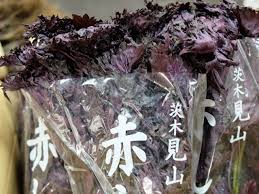 大阪府産 茨木見山 赤しそ | 業務仕入・見積なら食品卸売の生鮮 ...