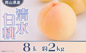 岡山県産 清水白桃8玉（約2.0kg） | 岡山県井原市 | ふるさと ...