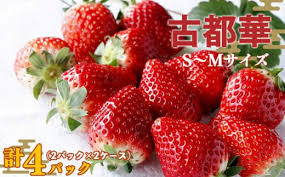 奈良県平群町の平群町のいちご 古都華（ことか）特集 ...