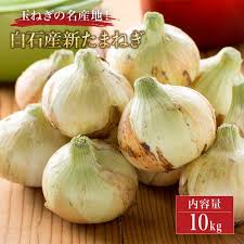 楽天市場】【ふるさと納税】【先行予約】白石産 新たまねぎ（約 ...