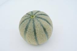さばえ夢てまり – めがねのまちさばえ 鯖江市