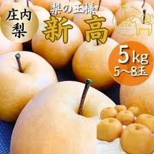 庄内梨 新高 5kg(5～8玉) 大分県由布市 | 大分県由布市 ...
