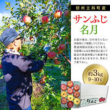 楽天市場】【ふるさと納税】サンふじ・ぐんま名月ミックス（約 ...