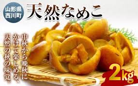 FYN9-590 《先行予約》山形県西川町産 天然なめこ 2kg きのこ ...