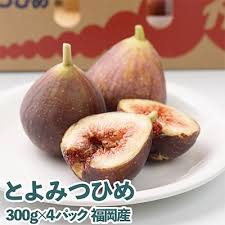 福岡限定!ブランドいちじく「とよみつひめ」約300g×4パック(朝倉 ...