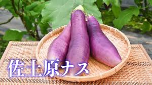 宮崎県宮崎市】たった4粒の種からよみがえった、宮崎伝統野菜の ...