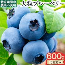 楽天市場】【ふるさと納税】＜ 先行予約 ＞ 美馬の 大粒 ...