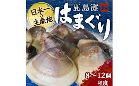 KM-2 鹿島灘はまぐり - 茨城県鹿嶋市｜ふるさとチョイス ...