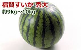 1株1玉獲りの自信作「福賀 すいか」秀大 約9kg～10kg 1個 | 山口 ...