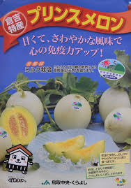 倉吉市特産「プリンスメロン」の出荷が始まりました - JA鳥取中央
