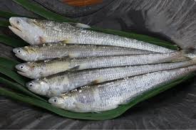 久留米市：伝説の魚「エツ」