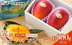 先行予約】☆本土最南端☆佐多の果樹園で育てた 完熟アップル ...