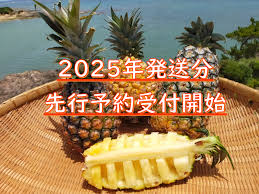 沖縄県東村の【先行予約開始！】東村産パインアップル ...