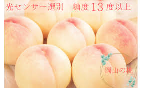 令和6年産 樹熟し白桃 2kg_【7月中旬頃から8月下旬頃発送】_S89 ...