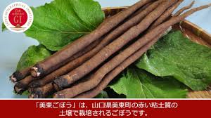 美東ごぼう｜産品紹介｜地理的表示産品情報発信サイト