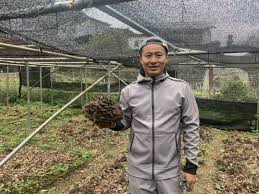 土の上に姿を現す、黒い存在感。丹波山村が誇る日本一の原木舞茸 ...