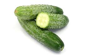 八町きゅうり【信州の伝統野菜】 | 丸友中部青果