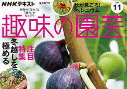 舞茸採ったどぉ！！｜園芸日記byくりたけ｜みんなの趣味の園芸 ...