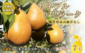 高級 ゼネラルレクラーク (洋梨) 約3kg (約450g×7個)【泉山果樹 ...