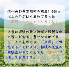 楽天市場】糖度17度以上 無添加 無香料 甘味料不使用 信州高原産 ...