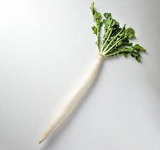 練馬ダイコン | 江戸東京野菜 | とうきょうの恵みTOKYO GROWN