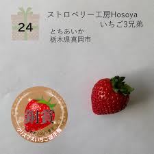 12月においしい「クリスマスいちご」日本一は、埼玉県加須市『べ ...