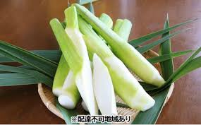 里庄まこもたけ【1.6kg】2024年10月上旬～2025年1月下旬出荷限定 ...