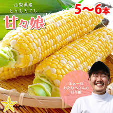 楽天市場】とうもろこし 甘々娘 (かんかんむすめ) 5〜6本 ふぁー ...