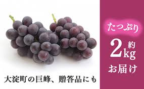 W02 巨峰 約2kg （3～4房） | ※8月下旬より発送 果物 ...