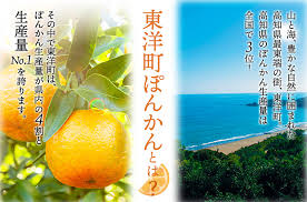 ぽんかん特集 東洋町｜ふるさとチョイス - ふるさと納税サイト