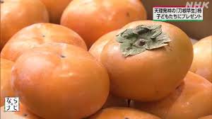 天理市発祥の柿「刀根早生」 園児が旬の味を楽しむ｜NHK 奈良県 ...