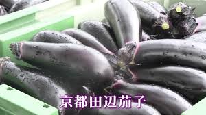 地元に戻り農業に！故郷の期待に挑戦する前川さん【京田辺市】