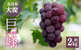 W02 巨峰 約2kg （3～4房） | ※8月下旬より発送 果物 ...