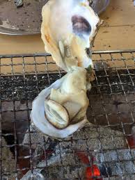豊前海一粒カキを食べに行橋市蓑島へ | 野菜好き、旅好き days