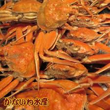 楽天市場 | かないわ水産 - 石川県金沢港より直送！とびきりの ...