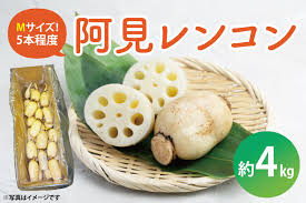 20-01 阿見レンコン（Mサイズ 5本程度 約4kg）【れんこん 蓮根 ...