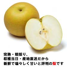 楽天市場】豊水 茨城の通販