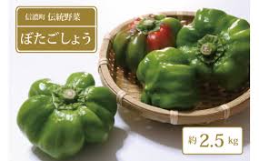夏季限定】信濃町名産、信州の伝統野菜「ぼたごしょう 2.5kg ...