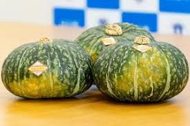 R5.6.23 茂宮かぼちゃをご賞味ください｜日立市公式ウェブサイト