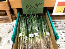 お野菜＆貴重な山菜です | 小海町直売所（プチマルシェこうみ ...