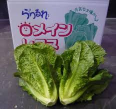 かんおんじの「野菜・果物」 - 観音寺市