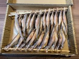 2022ふるさと納税 北海道 白糠町 柳葉魚(ししゃも) | 株主優待生活