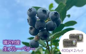 25年発送先行予約＞鳴沢村産生ブルーベリー400g×2パック ...