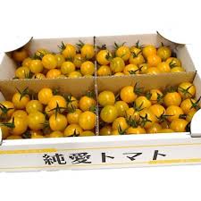 栃木県足利産こだわりミニトマト 甘さいっぱい「純愛トマト」2kg ...