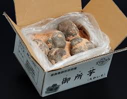 御所芋(ごせいも)』奈良県産 ヤマノイモ 約1.5kg（目安として3 ...