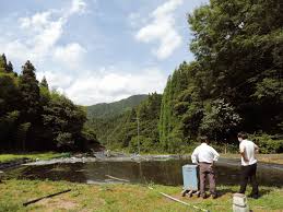 田んぼで魚が育つ!?鳥取・八頭町のホンモロコ養殖 – 新しい働き ...